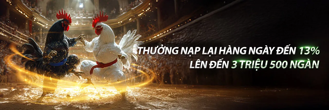Đấu trường đá gà trực tuyến sôi động 78win9 khuyến mãi